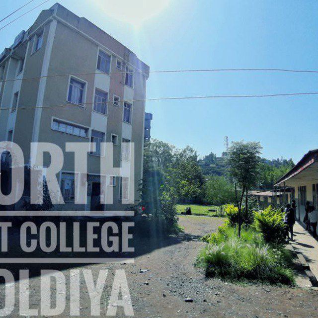 About Our Consulting Firm